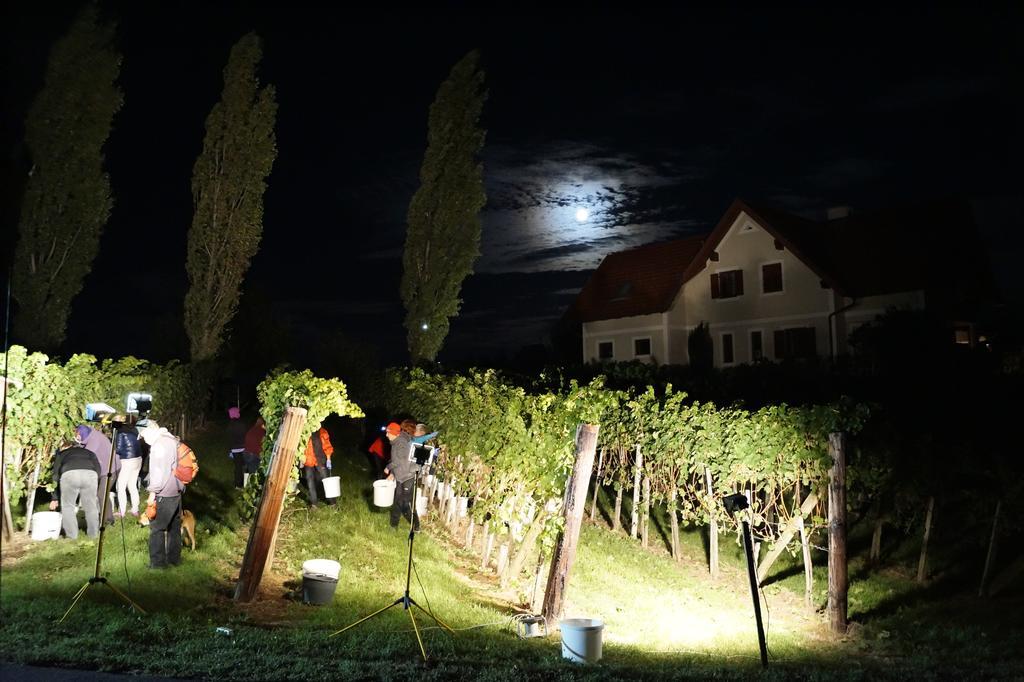 شقة Winzerhof Familie Kloeckl Klöch المظهر الخارجي الصورة