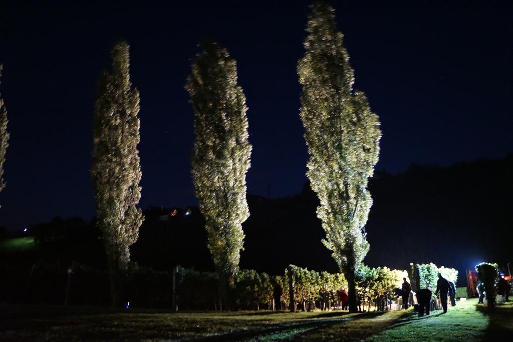 شقة Winzerhof Familie Kloeckl Klöch المظهر الخارجي الصورة