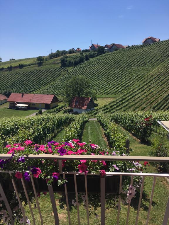 شقة Winzerhof Familie Kloeckl Klöch المظهر الخارجي الصورة